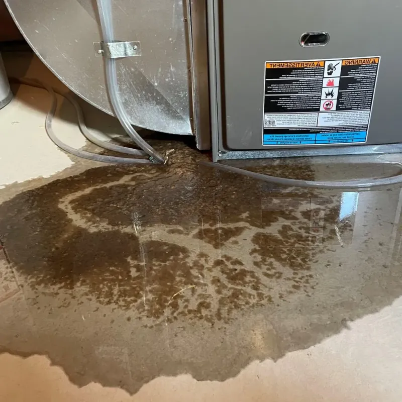 Pipe Burst and Leak Restoration in East Richmond Heights, CA