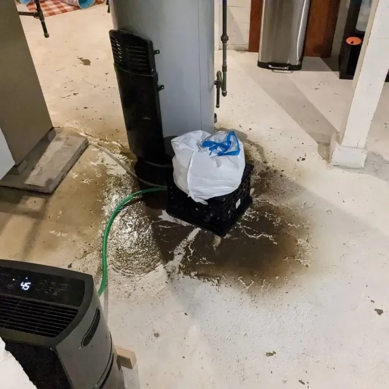 Sewage Backup Cleanup Service in East Richmond Heights, CA